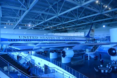 DSC_1145 (Large).JPG